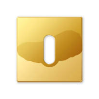 1291/B  keyhole escutcheon 50x50x6mm polished brass