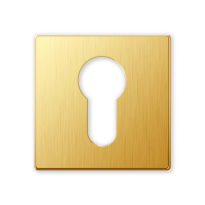1291/BY cylinder rose 50x50x6mm brass gold24k