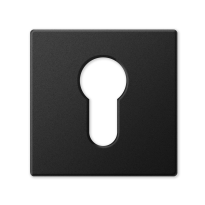 1291/BY cylinder rose 50x50x6mm mat black