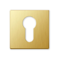 1291/BY cylinder rose 50x6mm satin brass