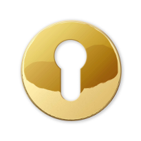 911/BY cylinder rose 51x6mm polished brass