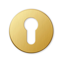 911/BY cylinder rose 51x6mm brass gold24k