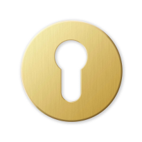911/BY cylinder rose 51x6mm brass satin