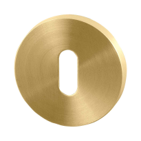 GPF0901.00P4 keyhole escutcheon 50x8mm PVD brass satin
