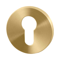 GPF0902.00P4 cylinder rose 50x8mm PVD brass satin