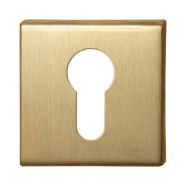 GPF0902.02P4 cylinder rose 50x50x8mm PVD brass satin