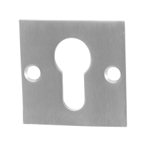 GPF0902.08 cylinder rose 50x50x2mm satin stainless steel
