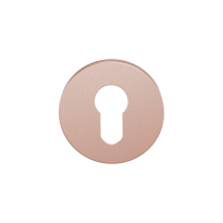 GPF0902VRT2 cylinder rose 53x6mm Blush