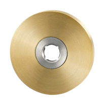 GPF1100.00P4L/R Rose 50x8mm PVD brass satin left-/right turning