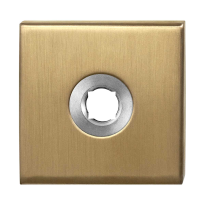 GPF1100.02P4 Rose 50x50x8mm PVD brass satin