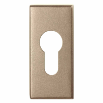 GPF1101.A4 cylinder rose 70x32x10mm Champagne blend 
