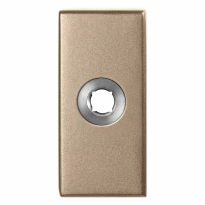 GPF1101.A4 R Rose 70x32x10 mm Champagne blend right turning