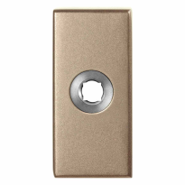 GPF1101.A4 Rose rectangular 70x32x10 mm Champagne blend