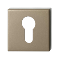 GPF1102.A4.0902 Cylinder rose 50x50x8 mm Champagne blend
