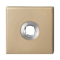 GPF1102.A4 Rose 50x50x8 mm Champagne blend