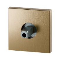 GPF1102.P4.0400 Rose 50x8mm PVD brass satin with welded knob fastener