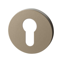 GPF1105.A4.0902 Cylinder rose 50x6 mm Champagne blend