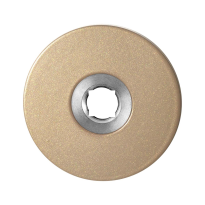 GPF1105.A4 Rose 50x6 mm Champagne blend
