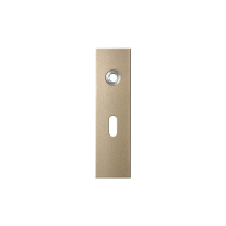 GPF1115.A4L short backplate rectangular lock 56 left handed Champagne blend