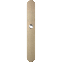 GPF1170.A4R long backplate rounded right handed Champagne blend