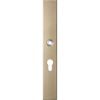 GPF1175.A4L long backplate rectangular 55PZ left handed Champagne blend