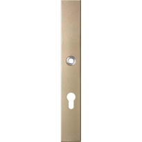 GPF1175.A4L long backplate rectangular 72PZ left handed Champagne blend