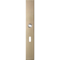 GPF1175.A4R long backplate rectangular lock 56 right handed Champagne blend