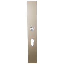 GPF1175.A4R long backplate rectangular 55PZ right handed Champagne blend