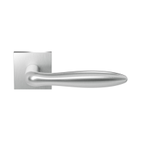 GPF1314.09-02 stainless steel Rangi door handle on rose 50x8mm