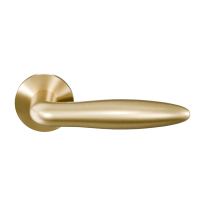GPF135VRP4 door handle on rose pointing right 