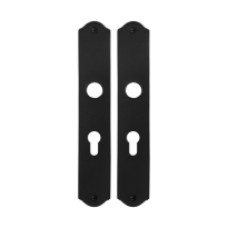 GPF6100.22 backplate 55PZ wrought iron black