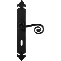 GPF6200.60R Kera door handle on long plate pointing right 291x41x4mm
