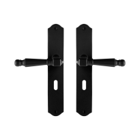 GPF6210.60 Mela door handle on plate 238x41x4mm