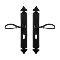 GPF6260.60 Lumi door handle on long plate 291x41x4mm