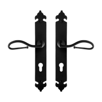 GPF6260.60 Lumi door handle on long plate 291x41x4mm