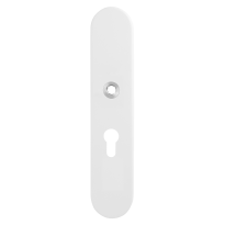 GPF8841.62/55 security outside plate PC55