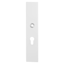 GPF8843.62 security outside plate