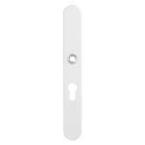 GPF8874.62 security inside plate 