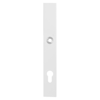 GPF8876.62/92 security inside plate PC92