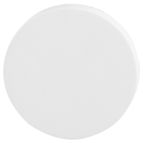 GPF8900.40 blind rose 50x8mm white