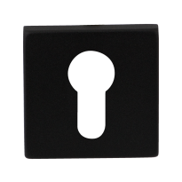 GPF8902.02 cylinder rose 50x50x8mm black