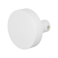 GPF8965.62 White excentric knob 55x16mm