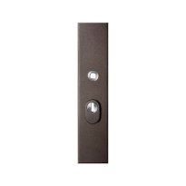 GPF9018.A1 safety outside plate with cylinder pulling protection
