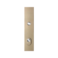 GPF9018.A4 safety outside plate with cylinder pulling protection PC92