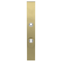 GPF9038.P4 security outside plate with cylinder pulling protection