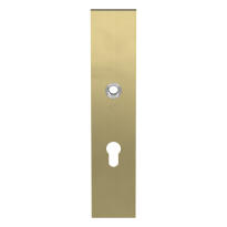 GPF9112.92P4 security inside plate PC92