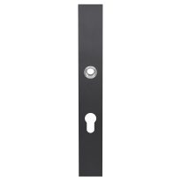 GPF9138.P1 security inside plate 