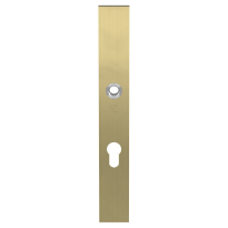 GPF9138.P4 security inside plate 