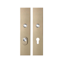 GPF9318.A4 security plates with cylinder pulling protection PC72