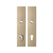 GPF9318.A4 security plates with cylinder pulling protection PC92